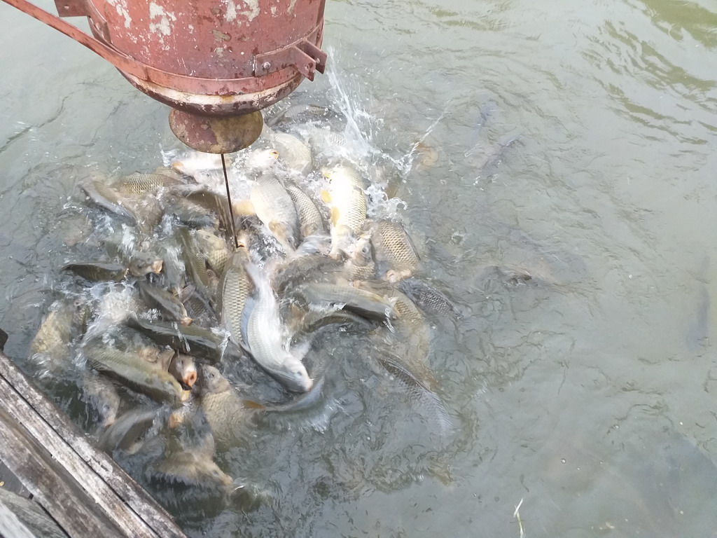  Kakovo metoh Hilandara 